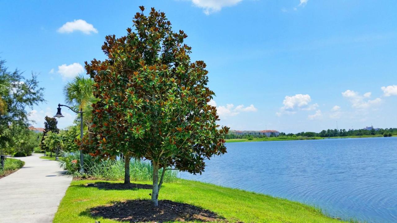 Gorgeous 1St-Floor, End Unit Condo W Lakeview Orlando Extérieur photo